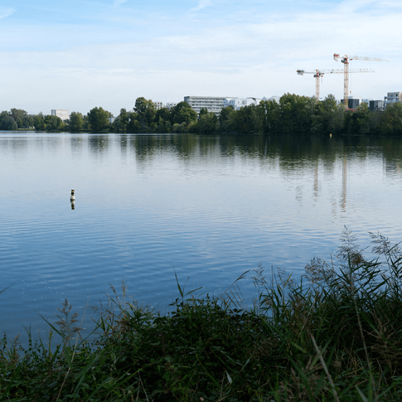 Au fil de l&rsquo;eau : balade nature autour du lac de Bordeaux - événement Bordeaux