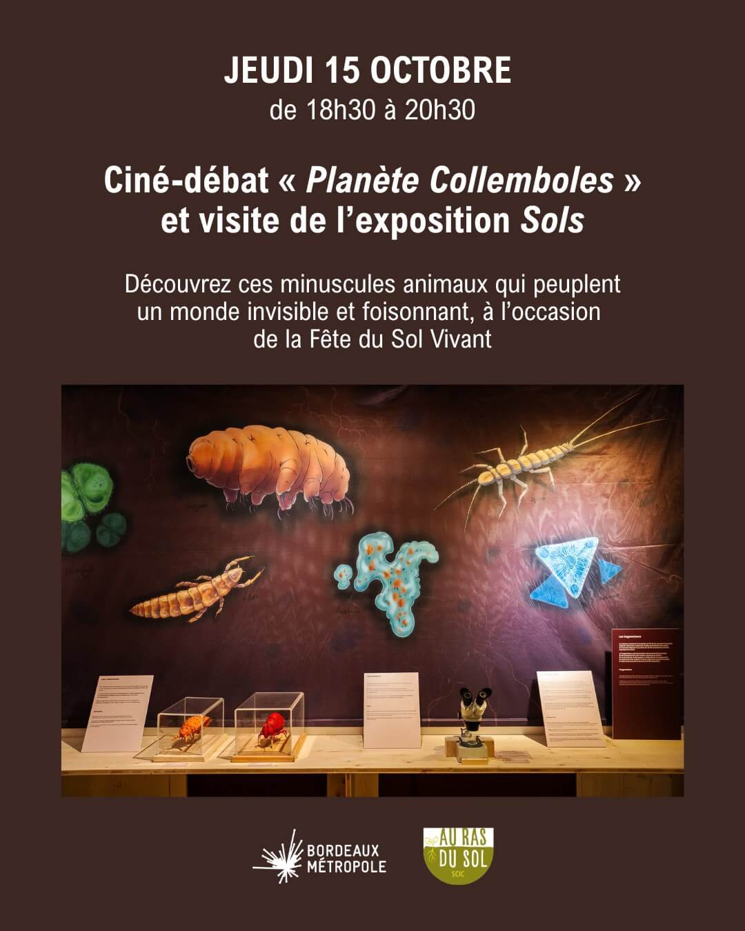 Ciné-débat « Planète Collemboles » - événement Bordeaux