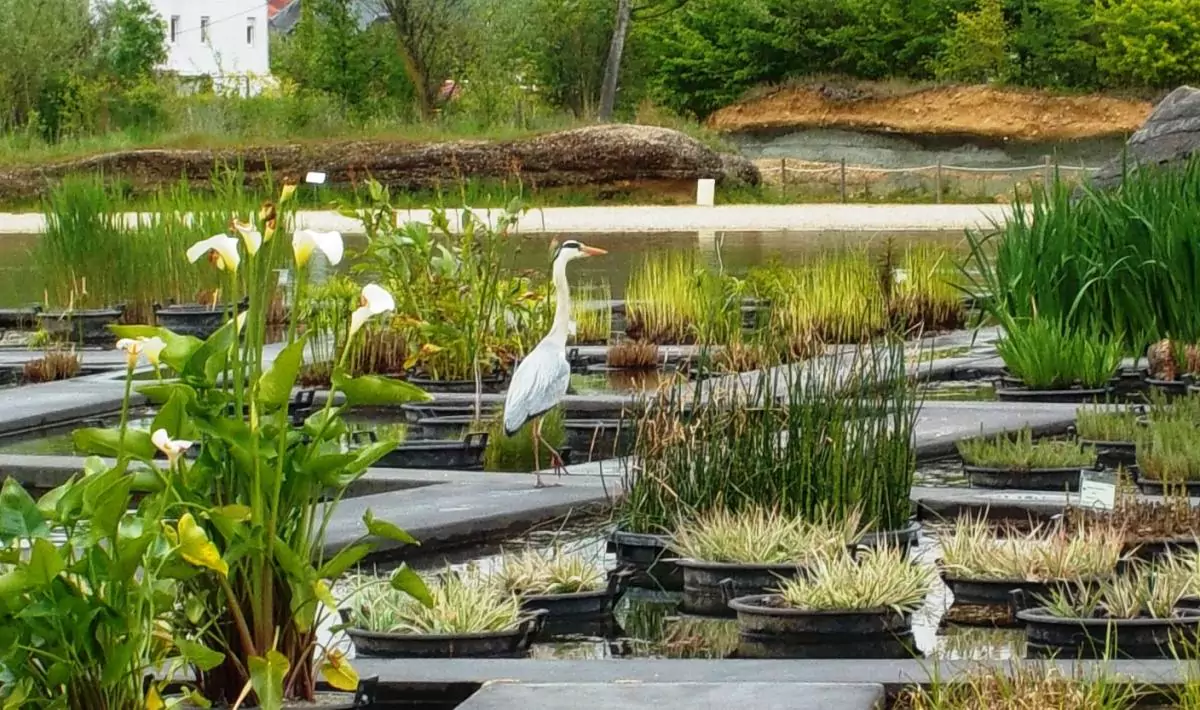Jardin Botanique