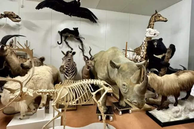 Visite du centre de conservation des collections