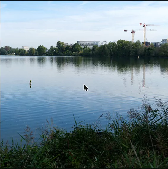 Au fil de l’eau : balade nature autour du lac de Bordeaux