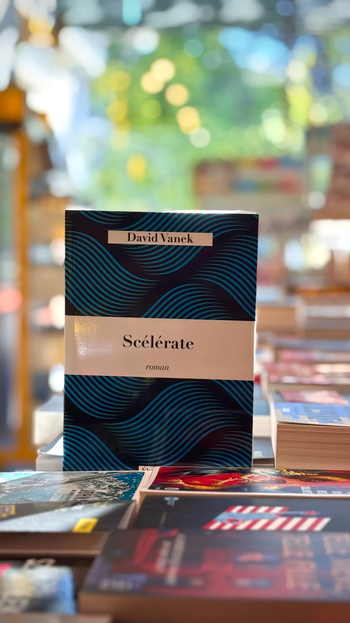Rencontre avec David Vanek – Scélérate