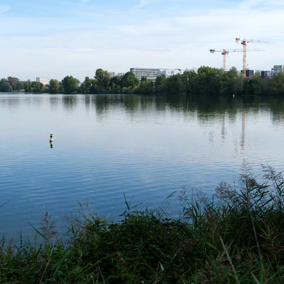 Au fil de l’eau : balade nature autour du lac de Bordeaux