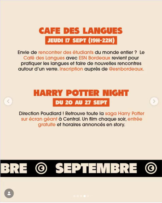 Harry Potter Night