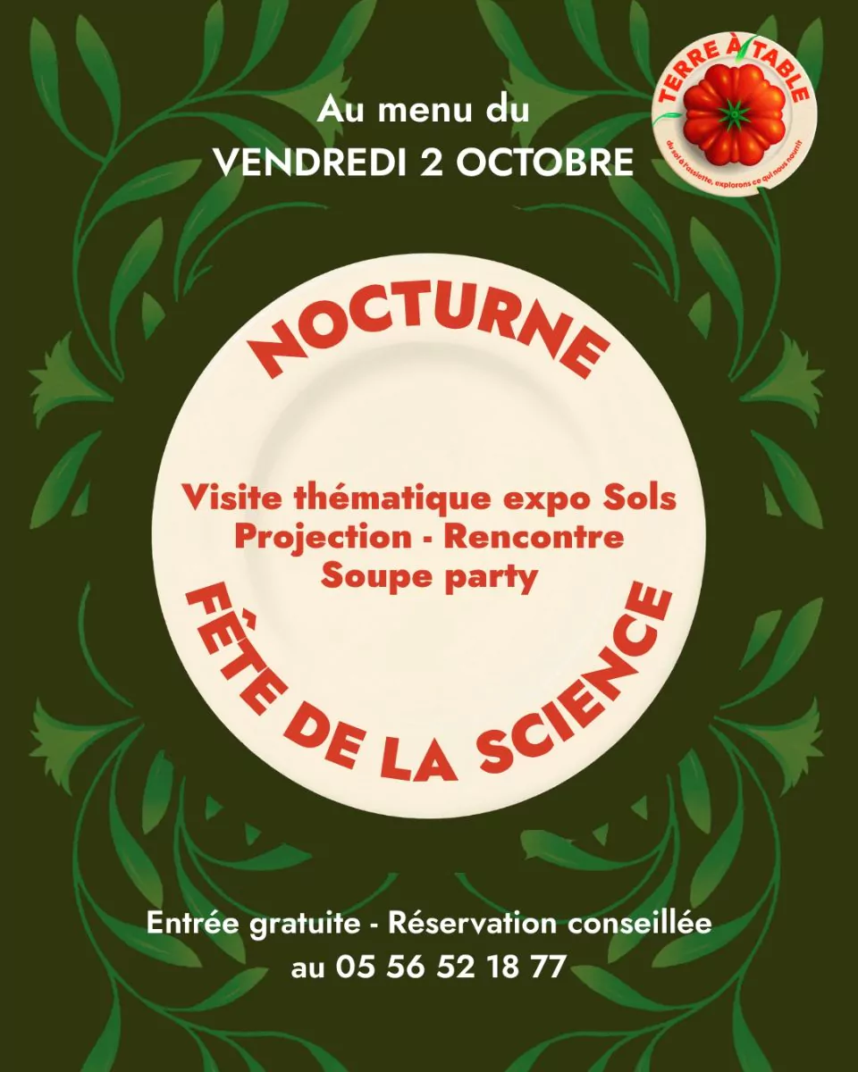 Projection « Les Glaneurs et la Glaneuse » + rencontre